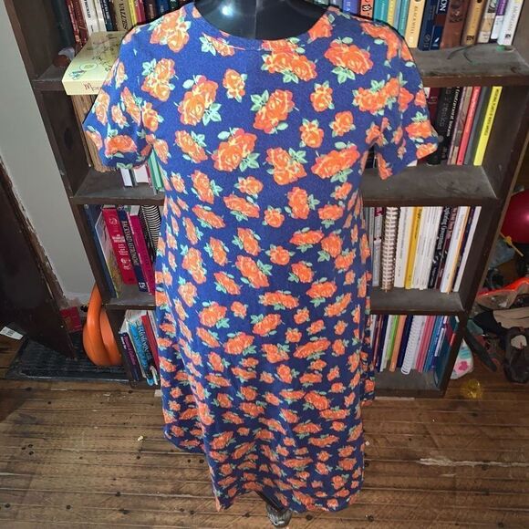 Lularoe Carly high low knit travelcore rose normcore cozy dress - Picture 2 of 3